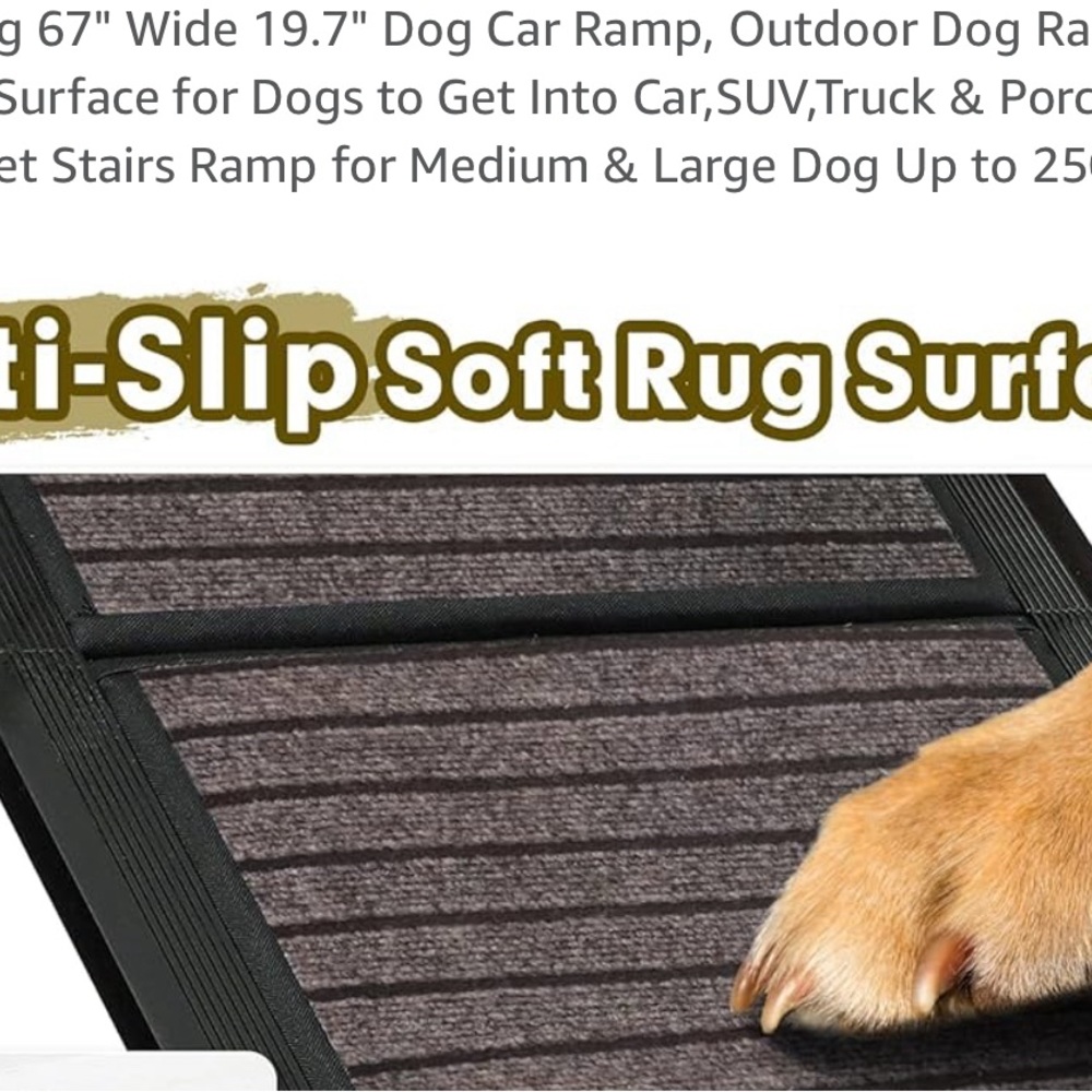 Ramp for large dogs